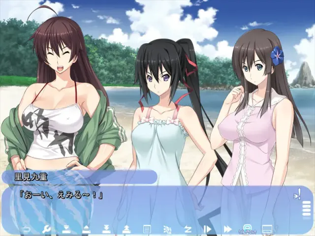 姉にこの夏 预览图 1