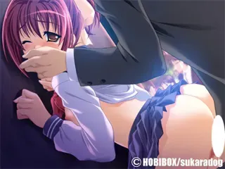 绫濑家的女人~淫华的血脉~ 预览图 11