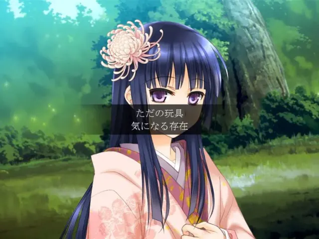 战国黑百合2~扶她公主与敌国公主~ 预览图 7