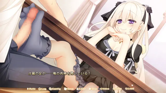 贤者赠予的妹妹 预览图 5