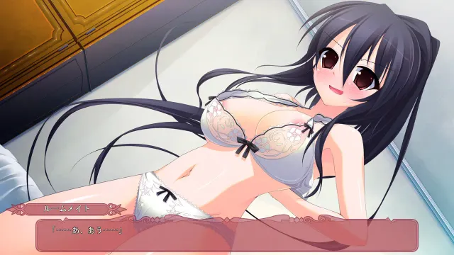 黑白羽翼 预览图 3