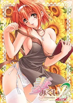 妻中蜜2 封面