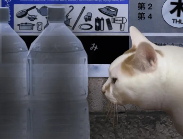 Tsugunohi / 翌日 预览图 8